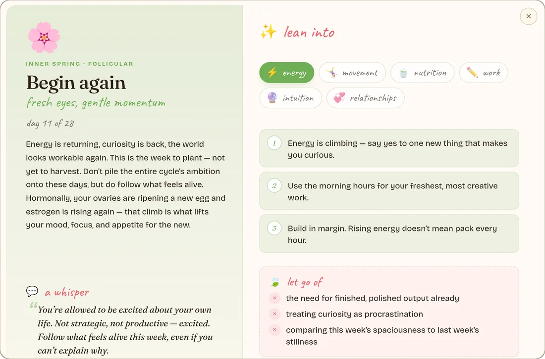The Body Cycle pop-up